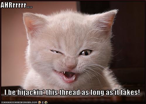 thread hijack kitty.jpg